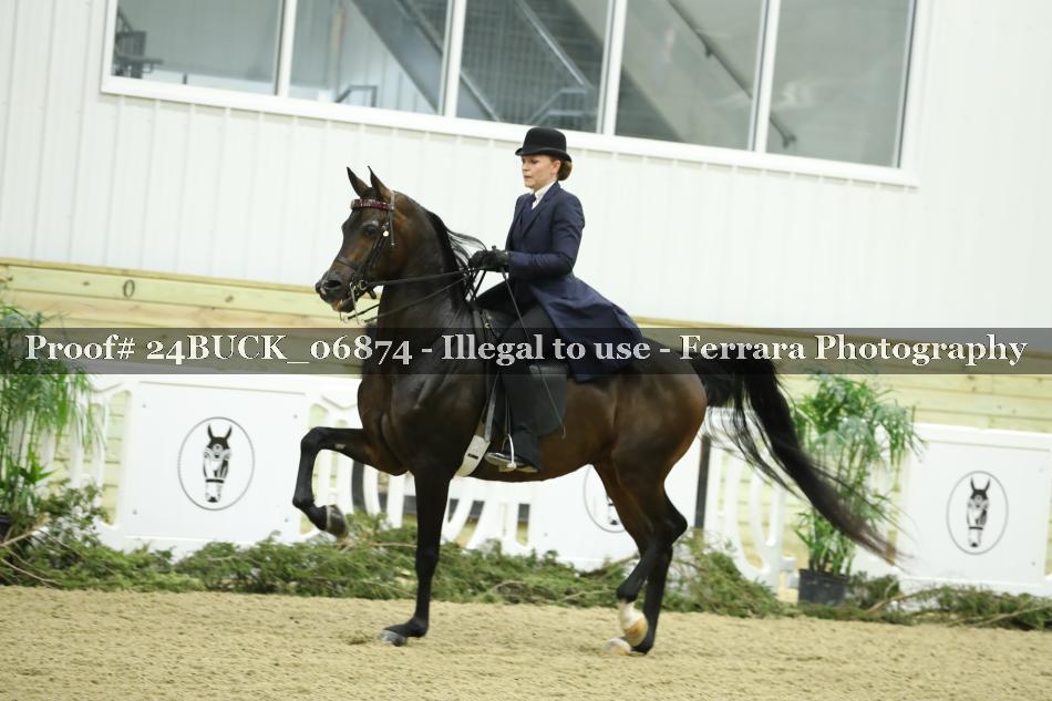 Proof 24BUCK_06874