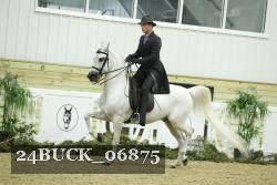 24BUCK_06875 proof