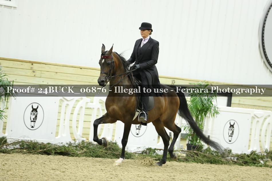 Proof 24BUCK_06876