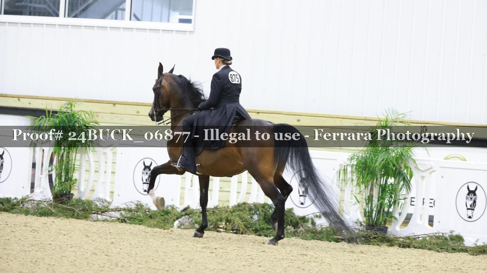 Proof 24BUCK_06877