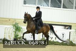 24BUCK_06878 proof