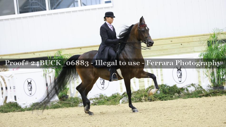 Proof 24BUCK_06883