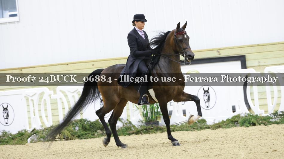 Proof 24BUCK_06884