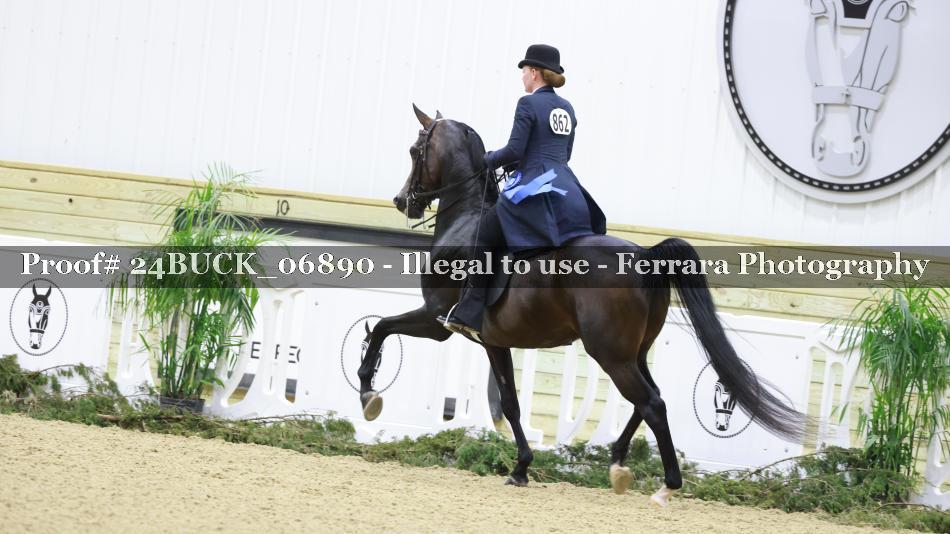 Proof 24BUCK_06890