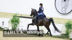 24BUCK_06890 proof