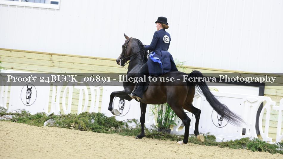 Proof 24BUCK_06891