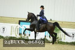 24BUCK_06893 proof
