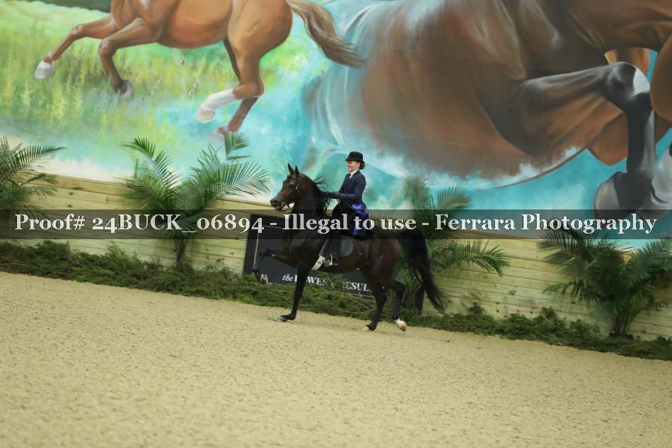 Proof 24BUCK_06894
