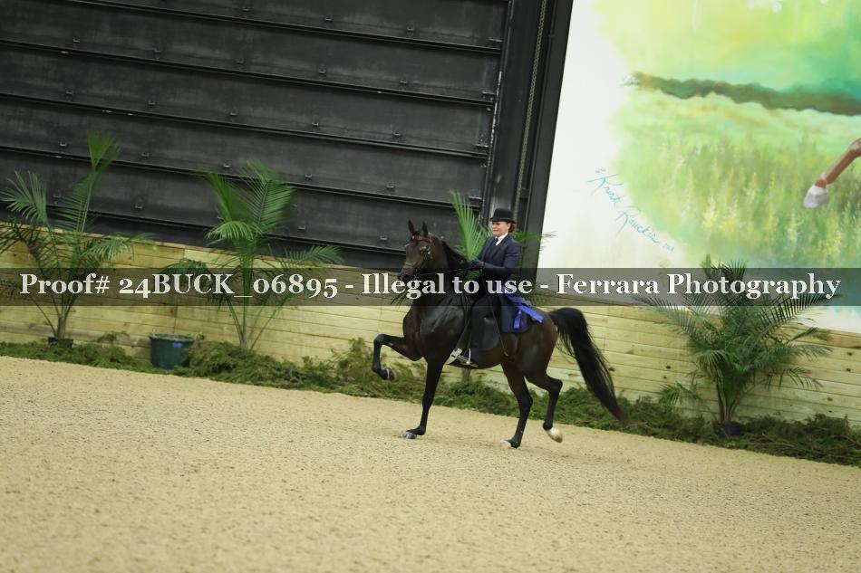Proof 24BUCK_06895