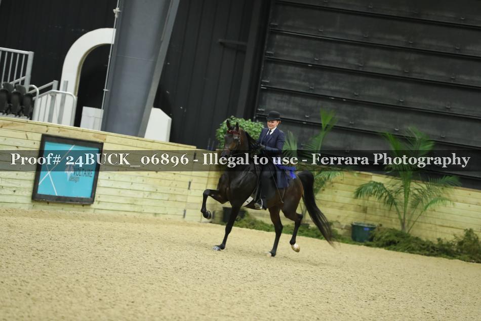 Proof 24BUCK_06896