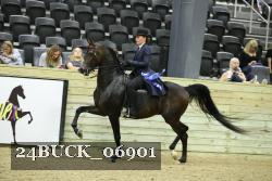 24BUCK_06901 proof