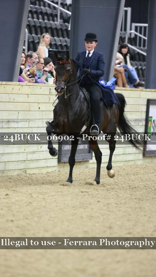 Proof 24BUCK_06902