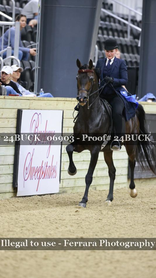 Proof 24BUCK_06903