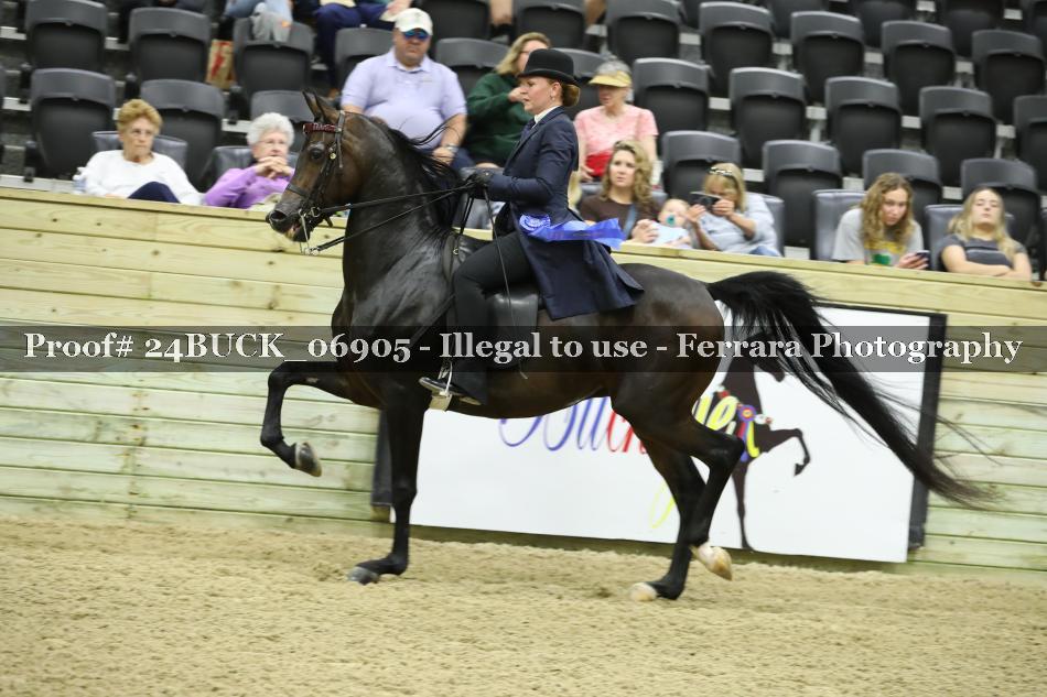 Proof 24BUCK_06905
