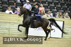 24BUCK_06905 proof