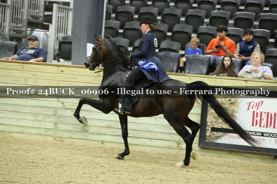 Proof 24BUCK_06906