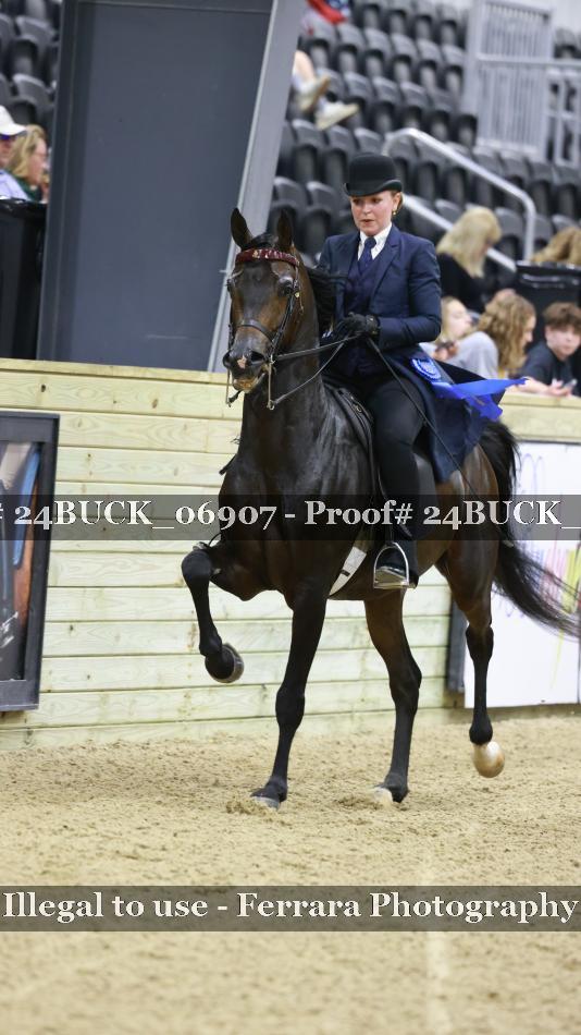 Proof 24BUCK_06907