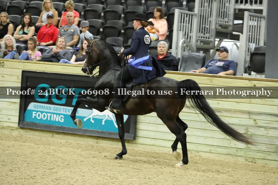 Proof 24BUCK_06908