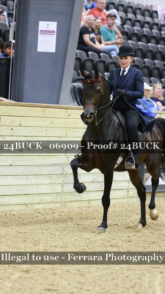 Proof 24BUCK_06909