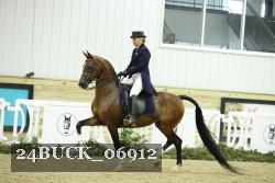 24BUCK_06912 proof