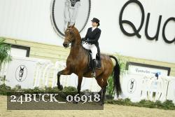 24BUCK_06918 proof