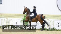 24BUCK_06919 proof