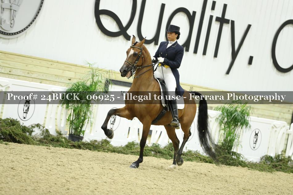 Proof 24BUCK_06925