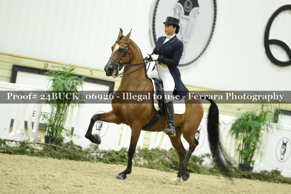 Proof 24BUCK_06926