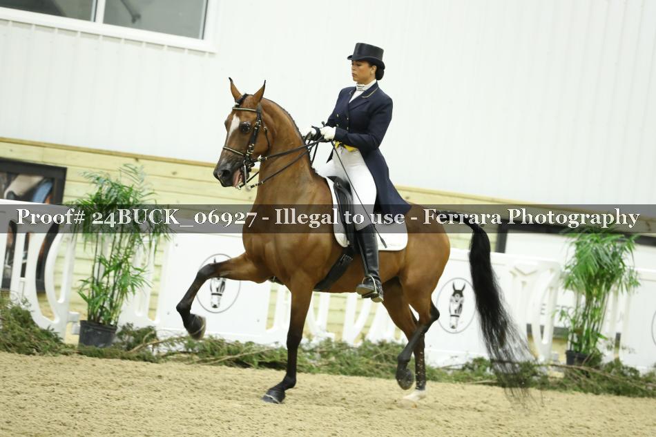 Proof 24BUCK_06927