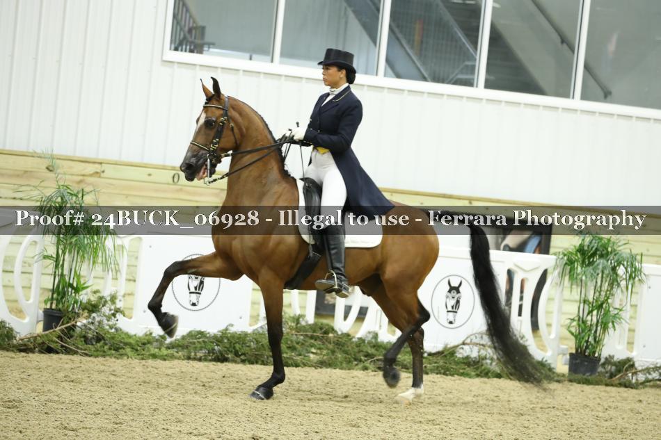 Proof 24BUCK_06928