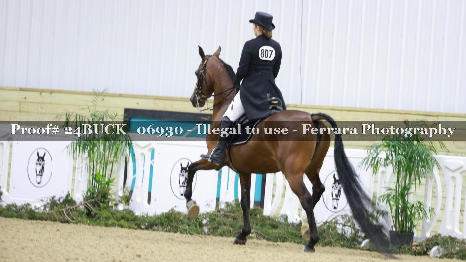 Proof 24BUCK_06930