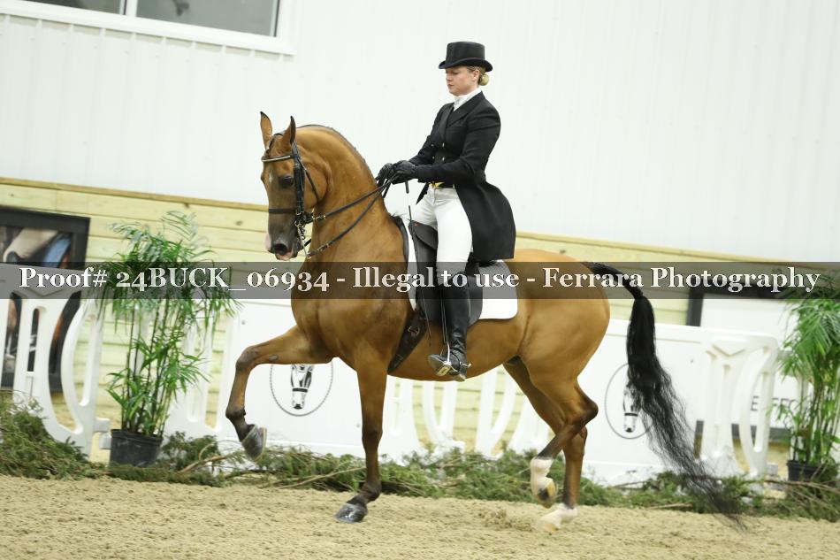Proof 24BUCK_06934