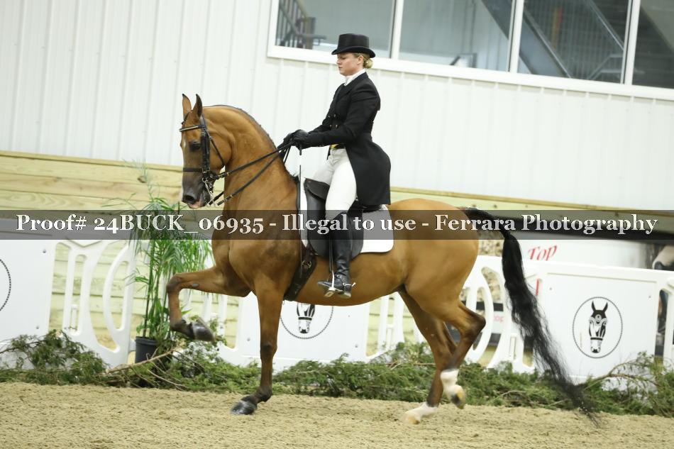 Proof 24BUCK_06935