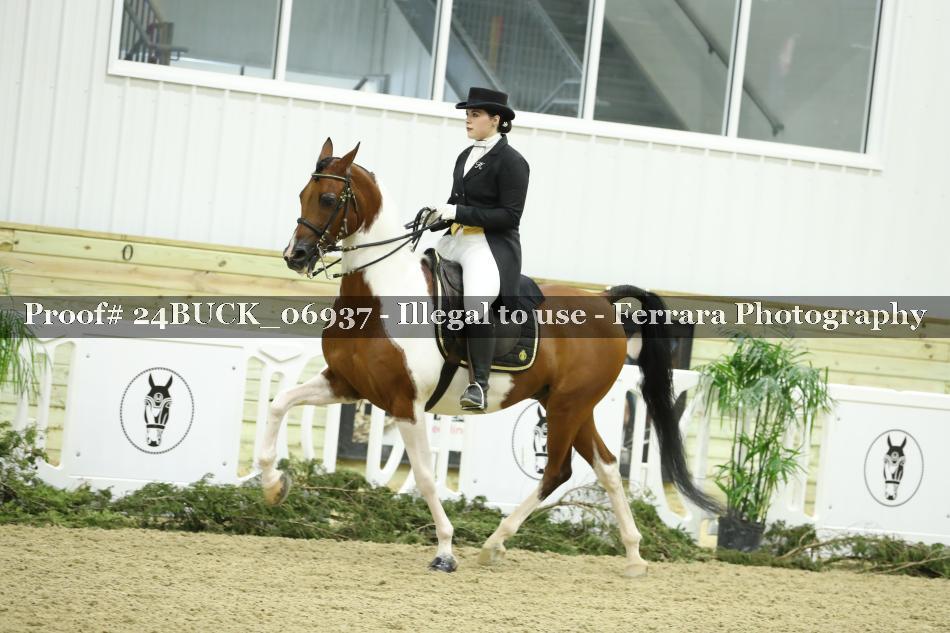 Proof 24BUCK_06937