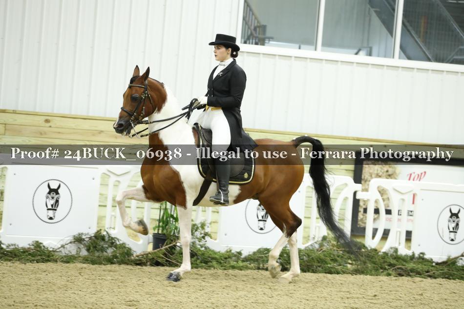 Proof 24BUCK_06938