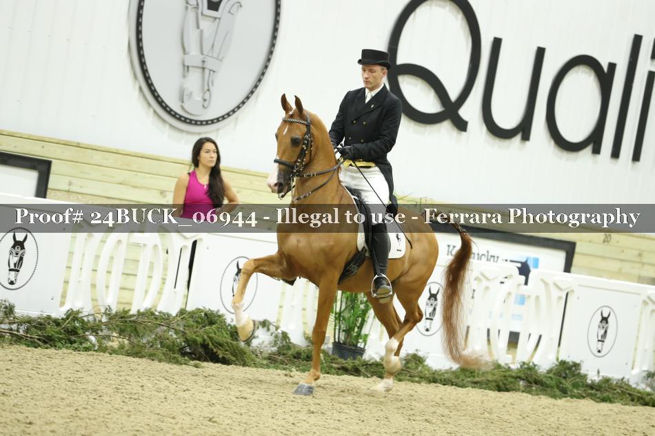Proof 24BUCK_06944
