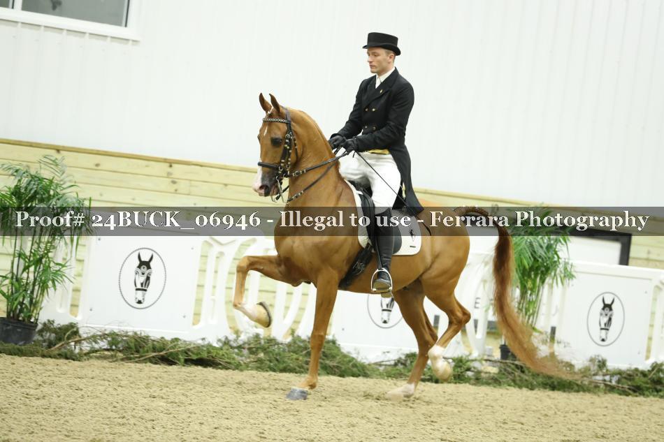 Proof 24BUCK_06946