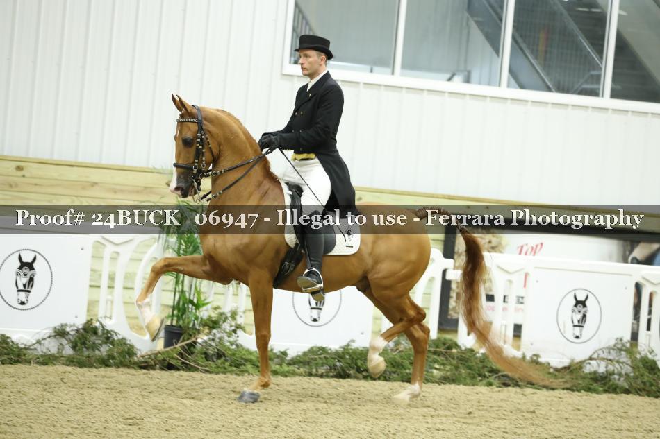 Proof 24BUCK_06947