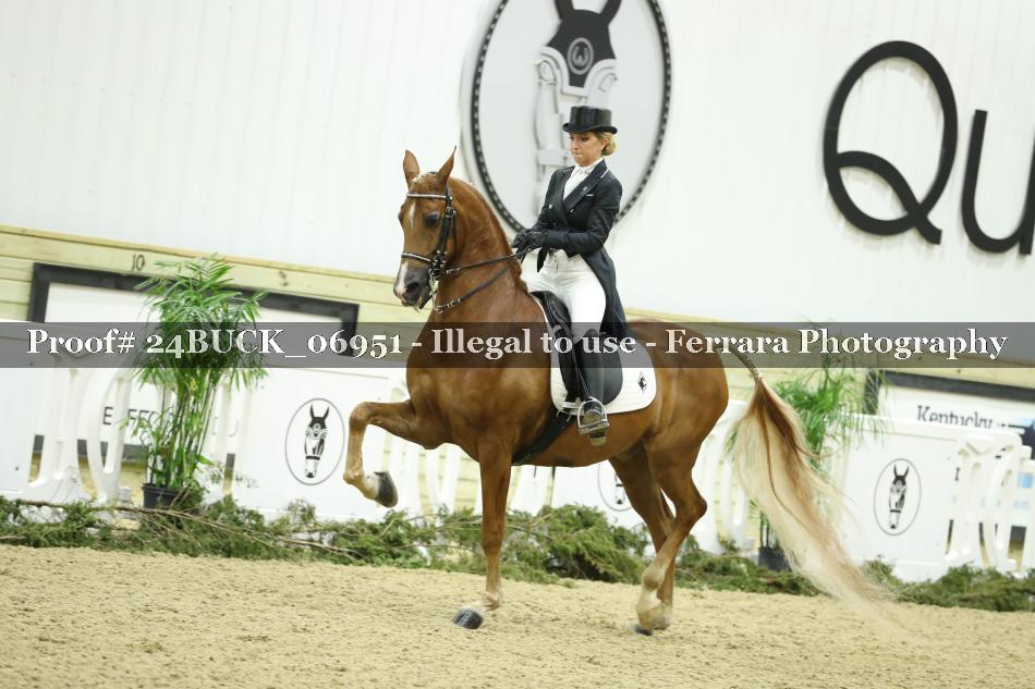 Proof 24BUCK_06951