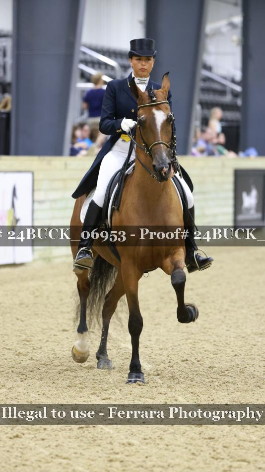 Proof 24BUCK_06953