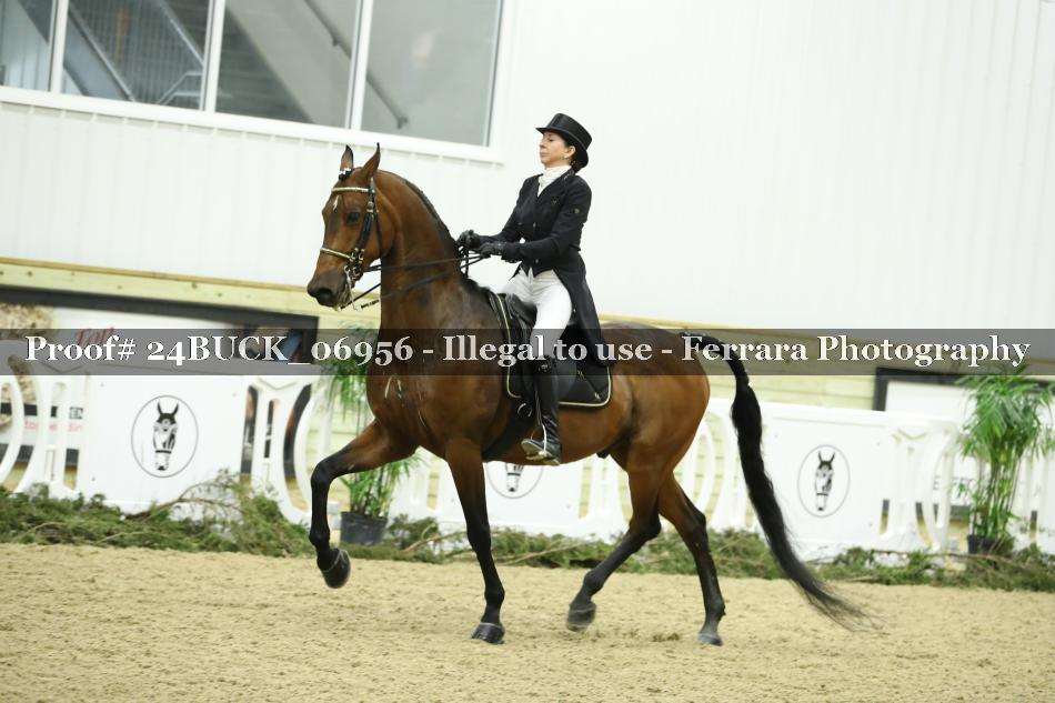 Proof 24BUCK_06956
