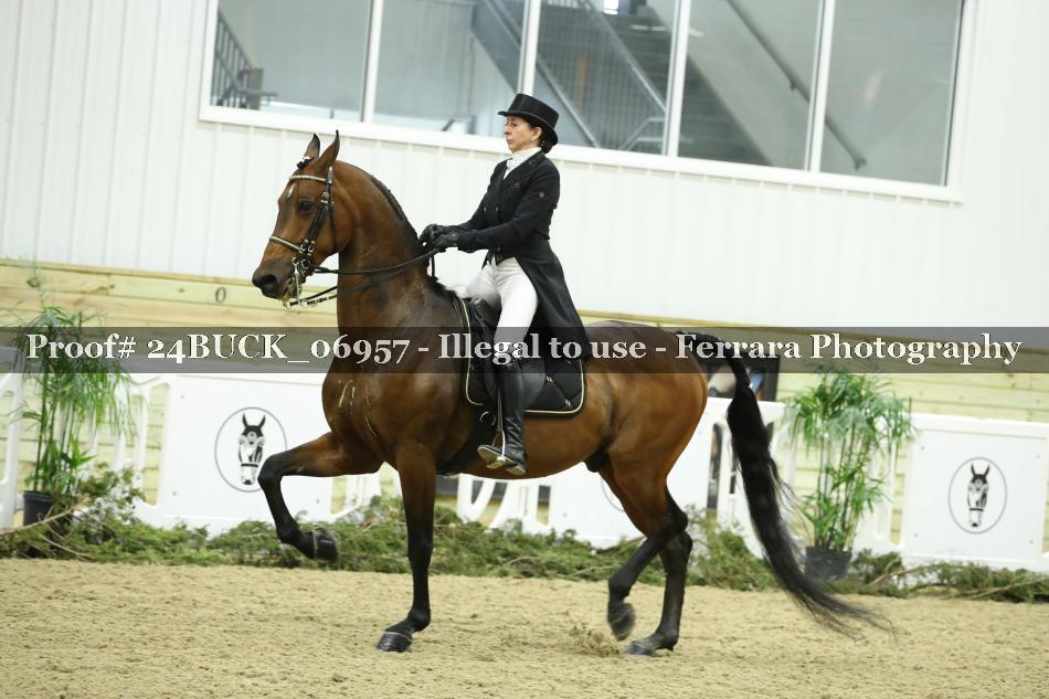 Proof 24BUCK_06957