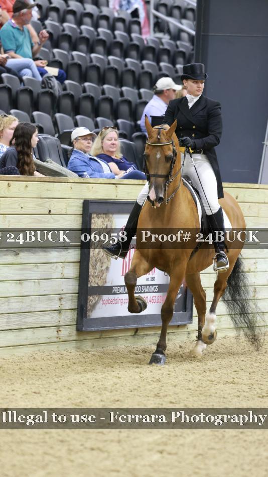 Proof 24BUCK_06958