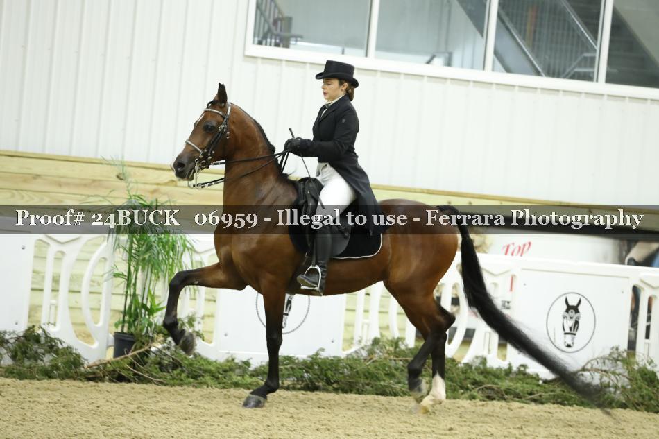 Proof 24BUCK_06959