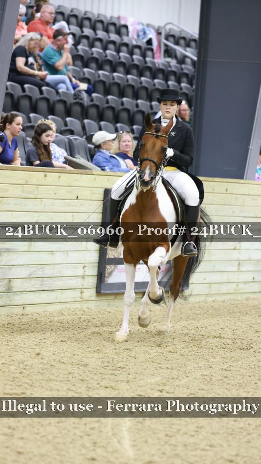 Proof 24BUCK_06960