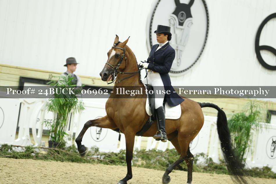 Proof 24BUCK_06962