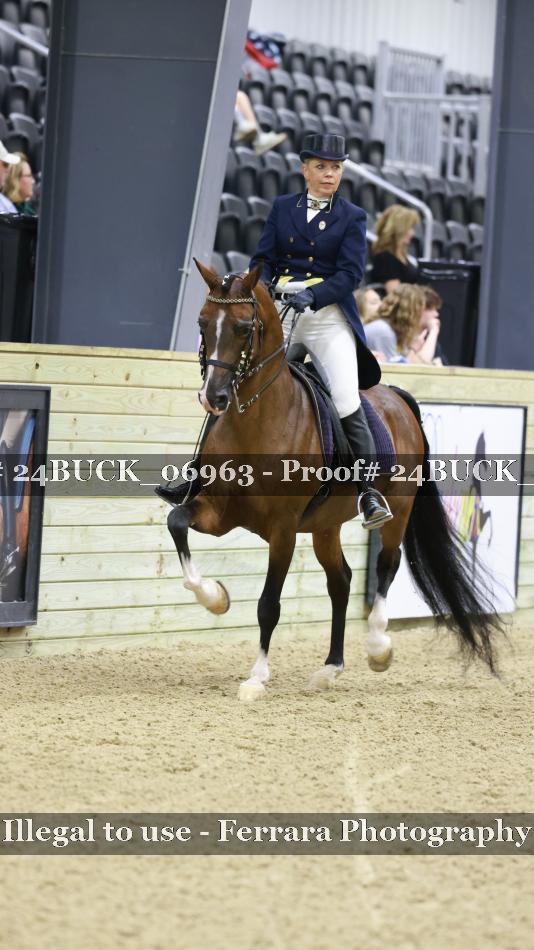 Proof 24BUCK_06963