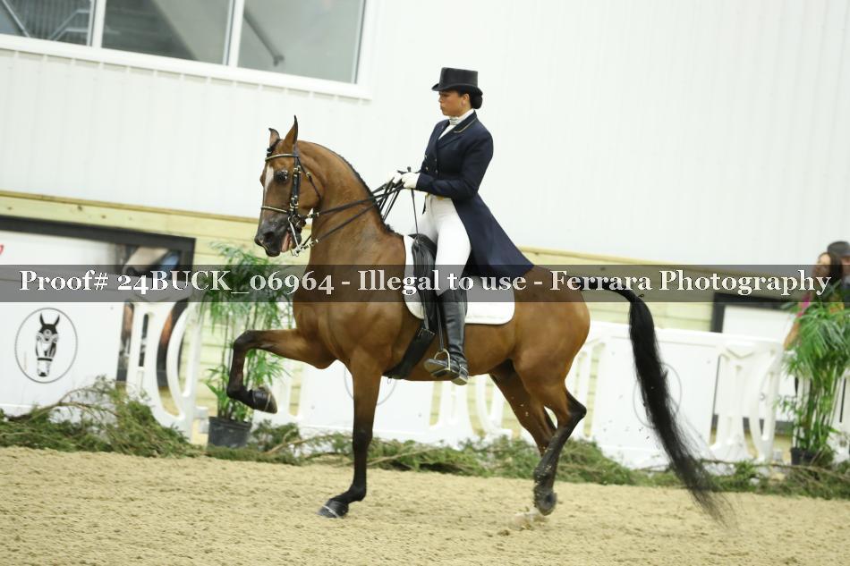 Proof 24BUCK_06964