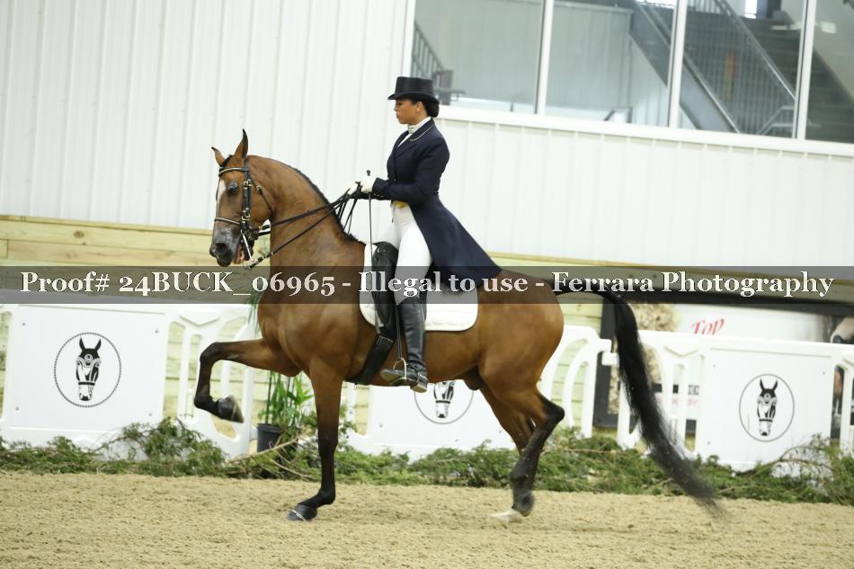 Proof 24BUCK_06965