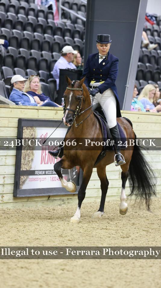 Proof 24BUCK_06966